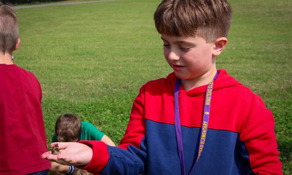 Boy lets butterfly land on flower